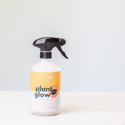 Plant Glow