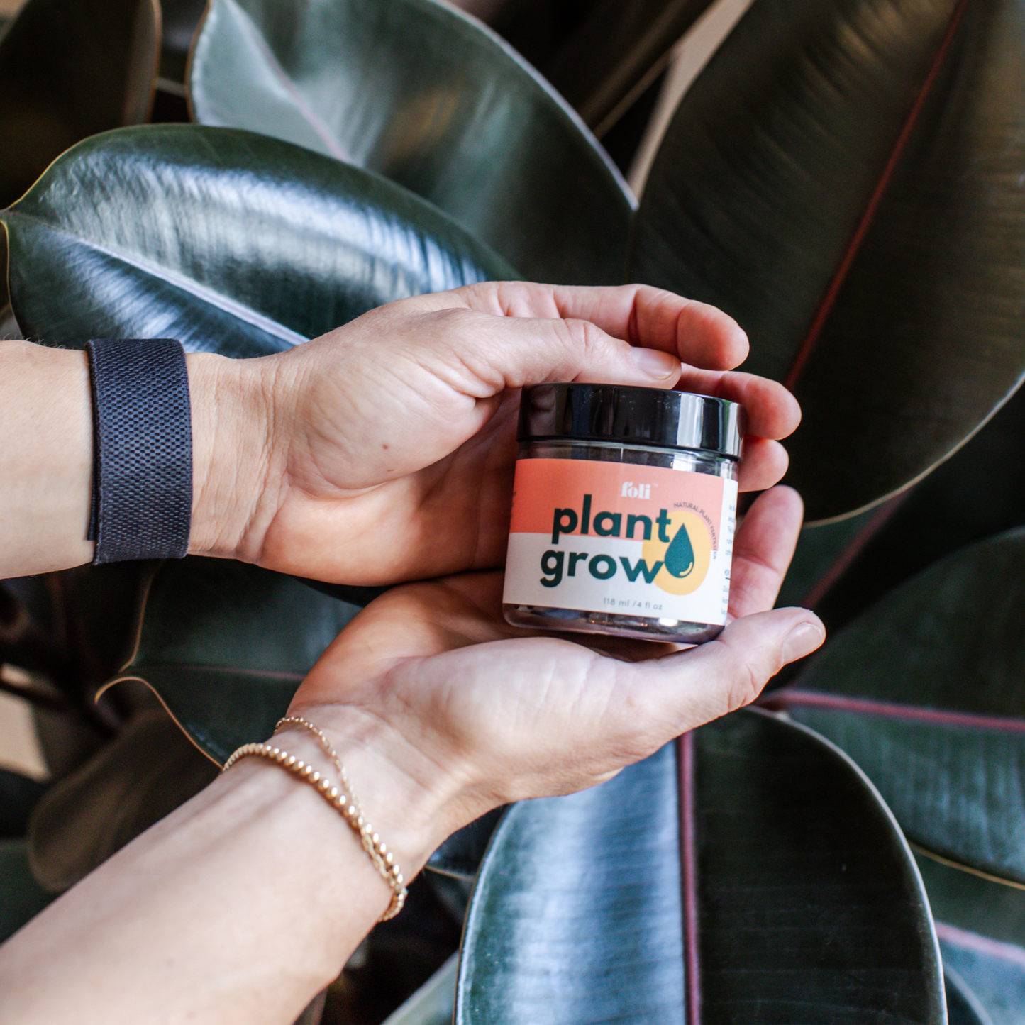 Plant Grow
