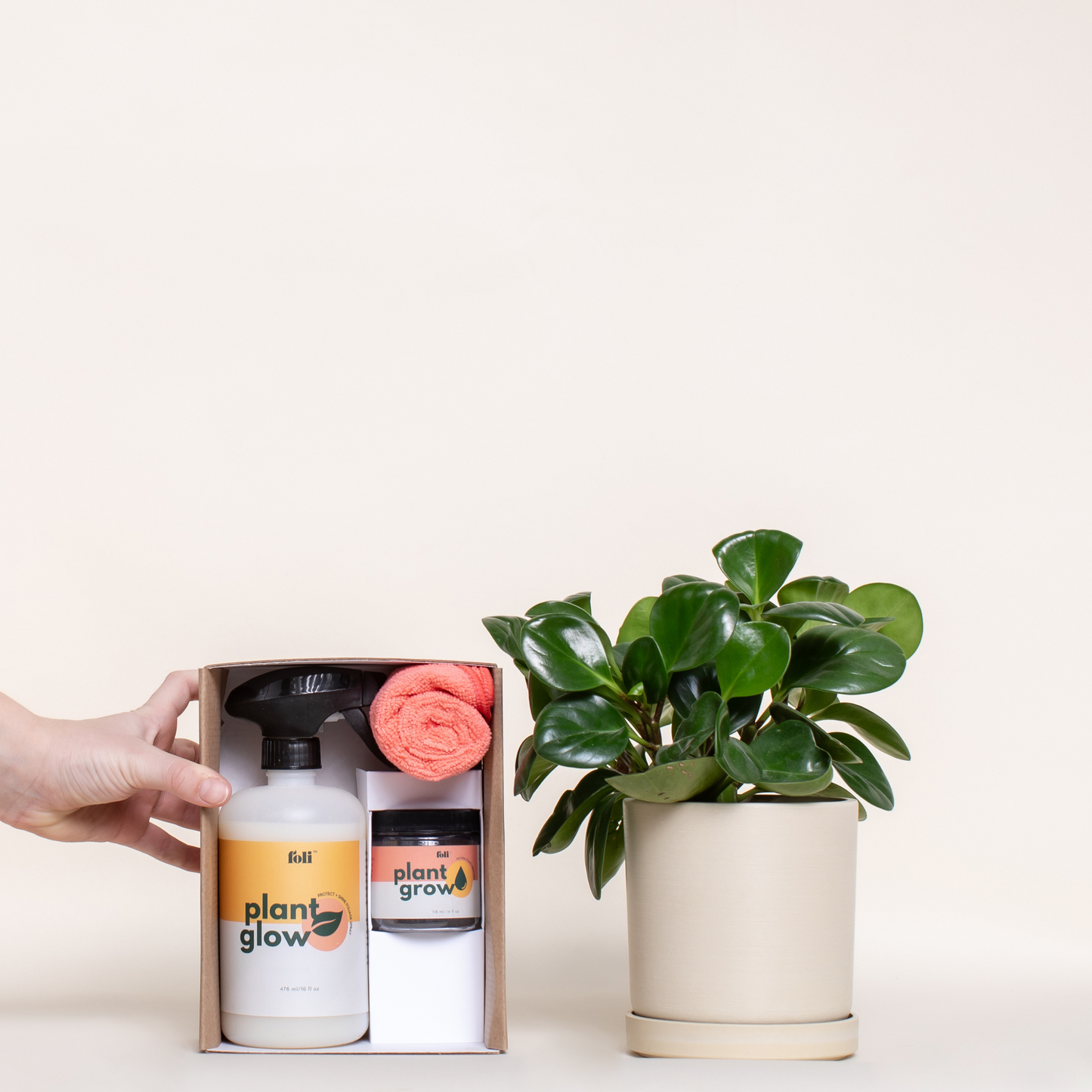 Plant Care Kit