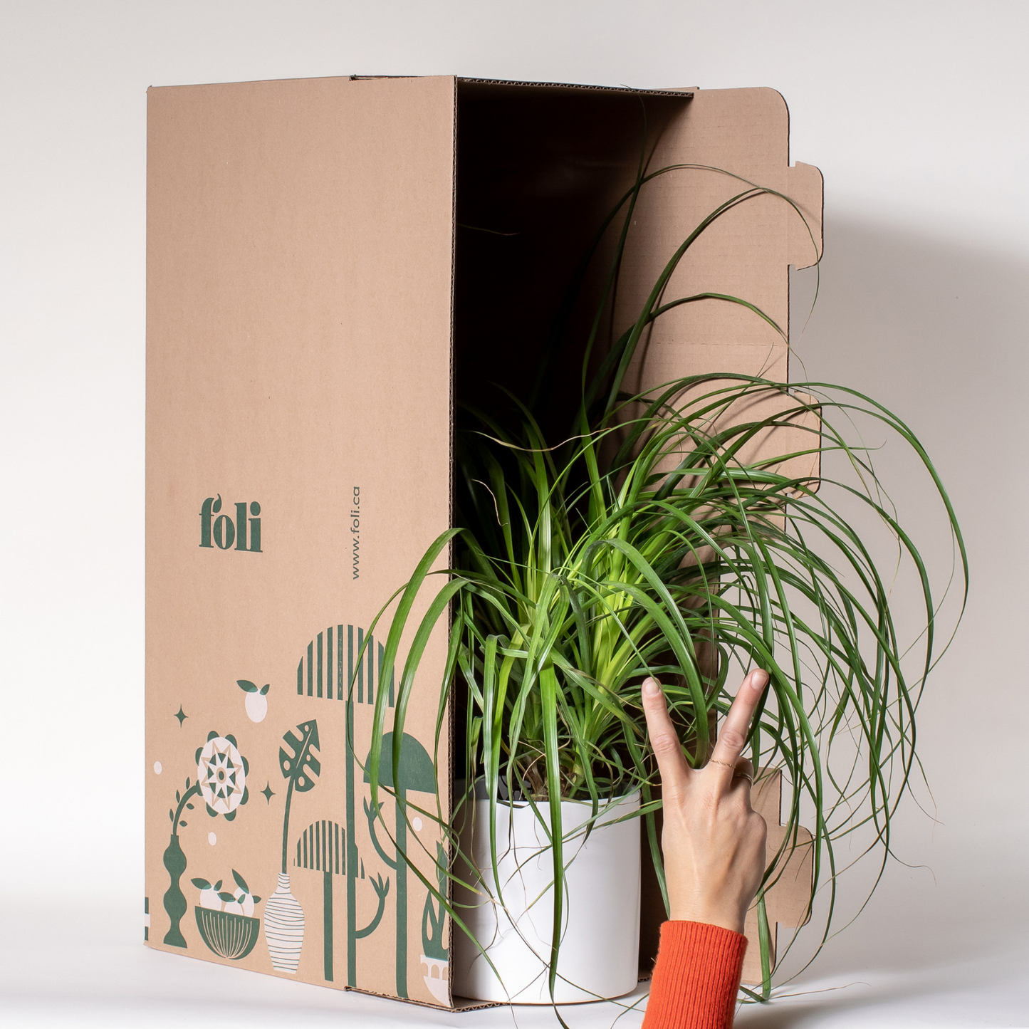 3 Month Plant Subscription