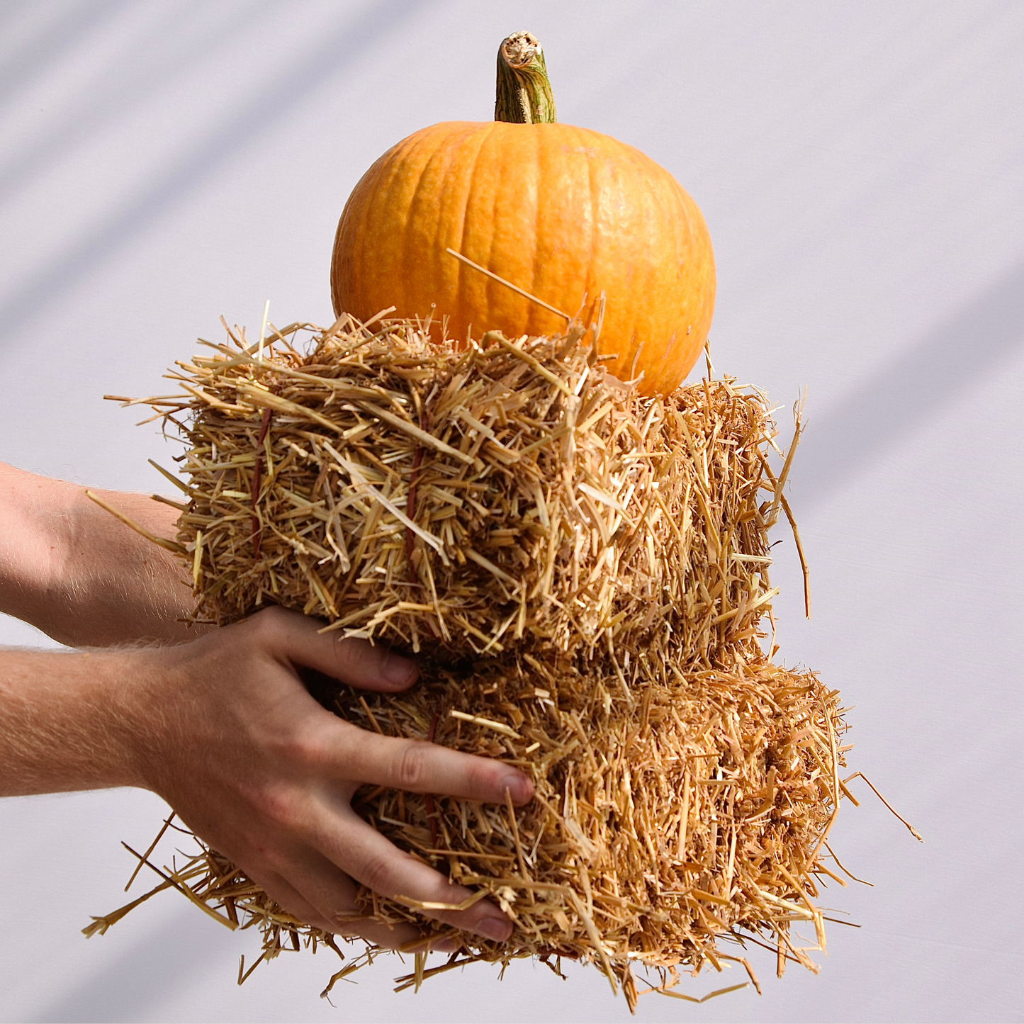Delux Fall Porch Kit