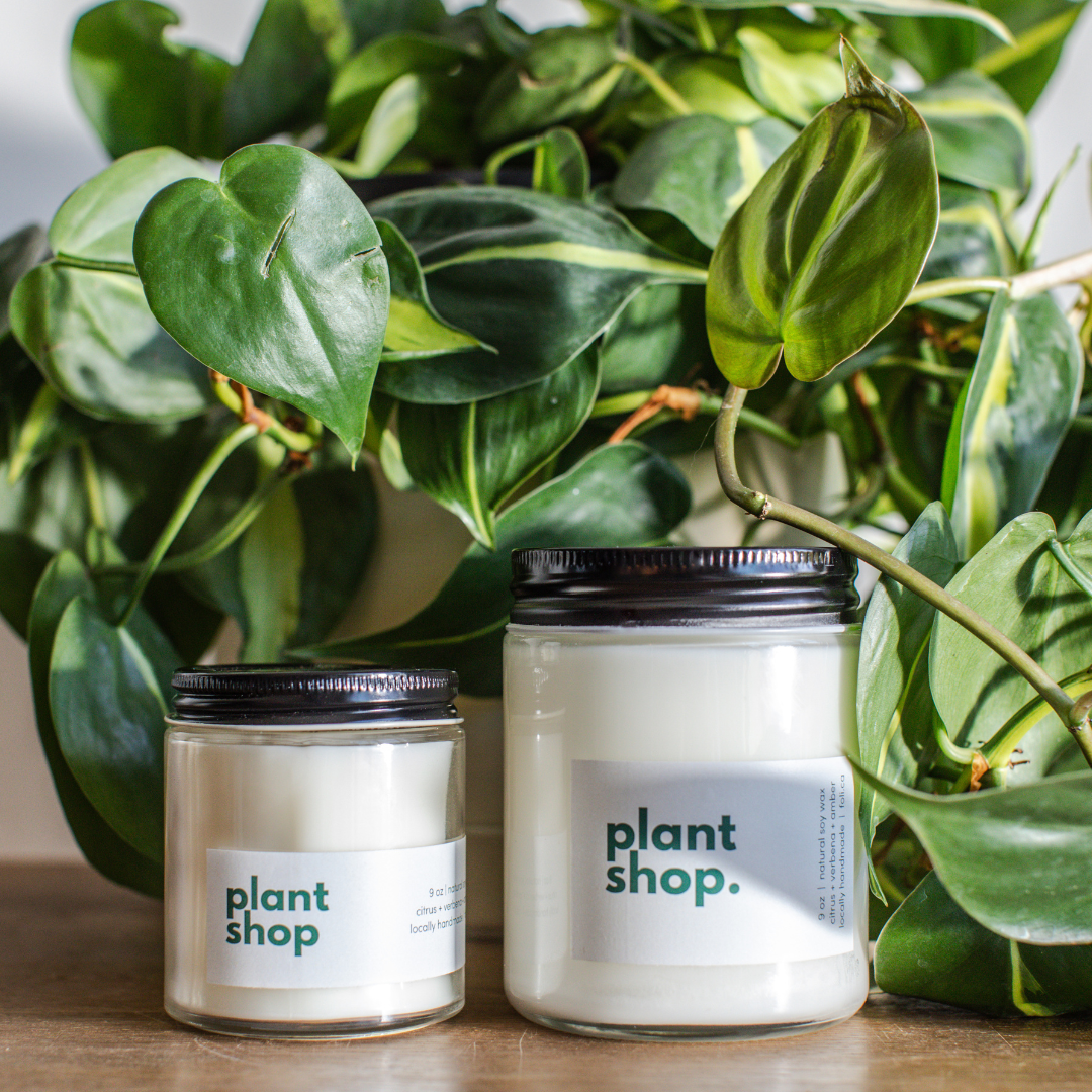 Plant Shop Candles
