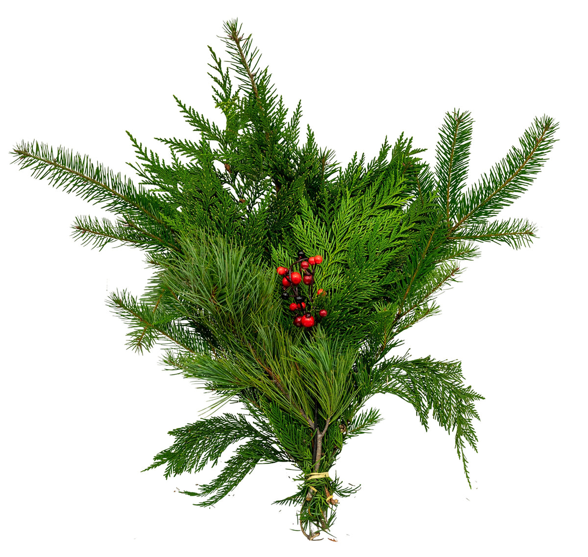 Premium Evergreen Bouquet - Fresh Cut Holiday Arrangement
