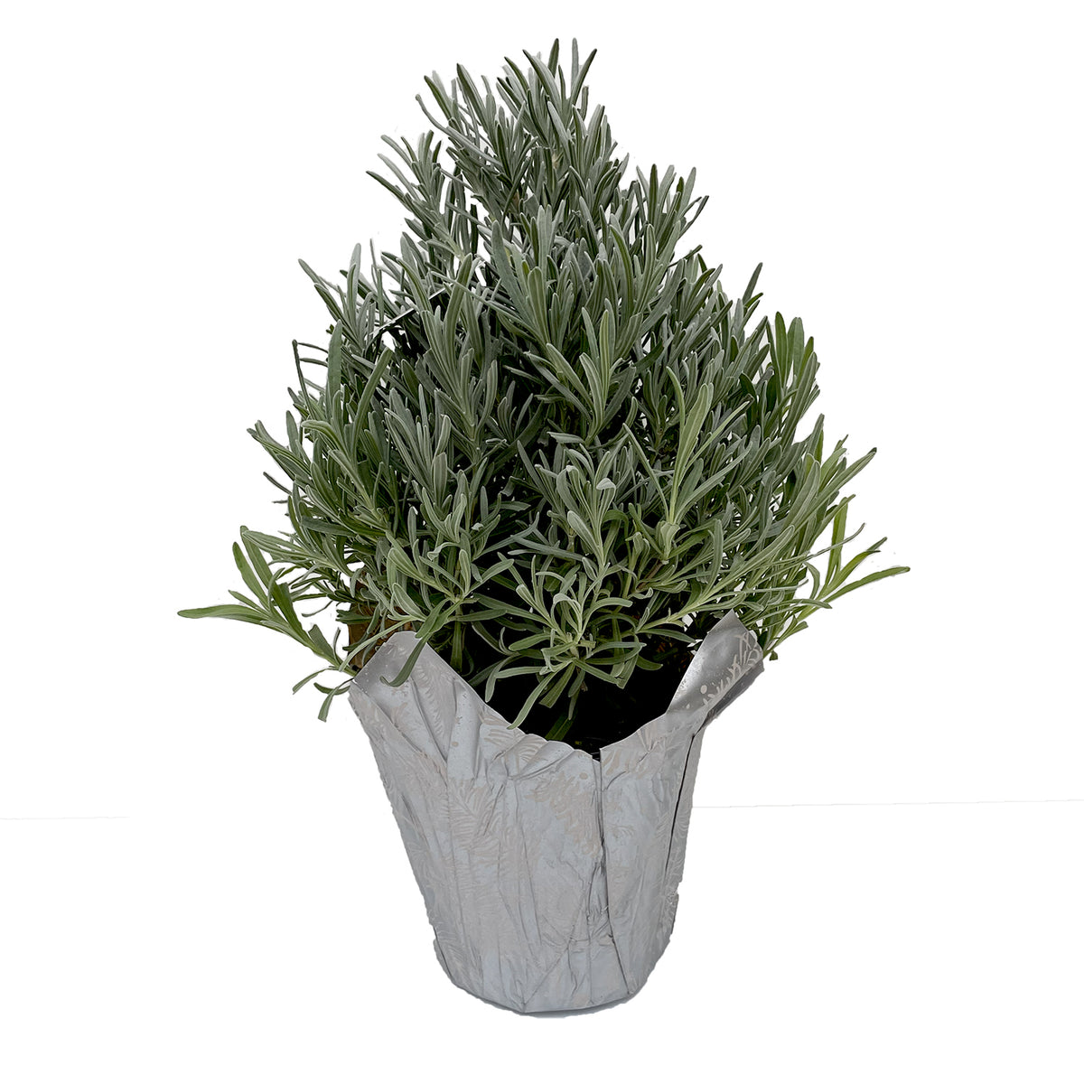 Lavender Tree Pyramid