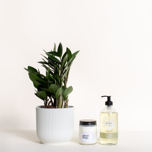 Housewarming Bundles