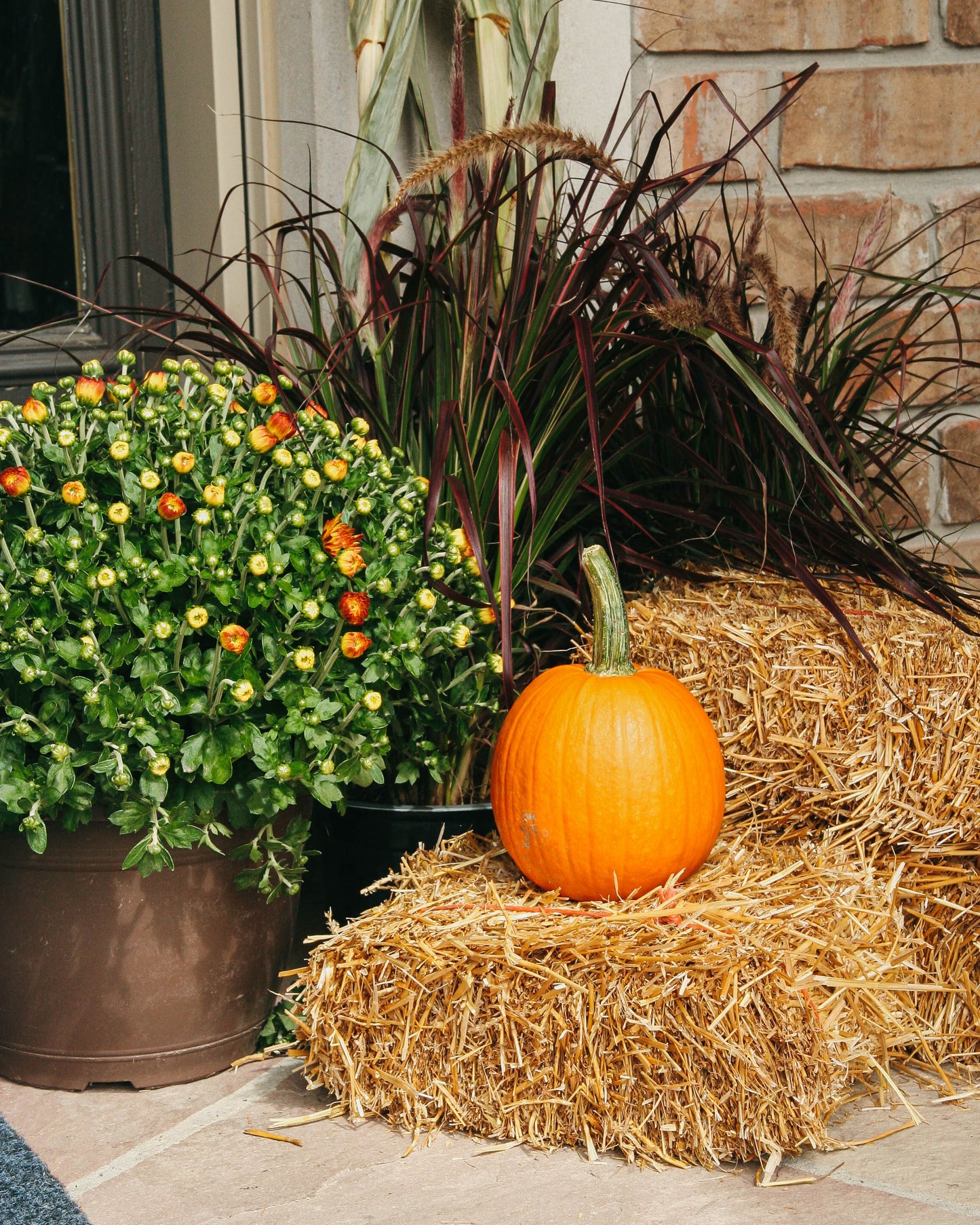 Mini Straw Bale