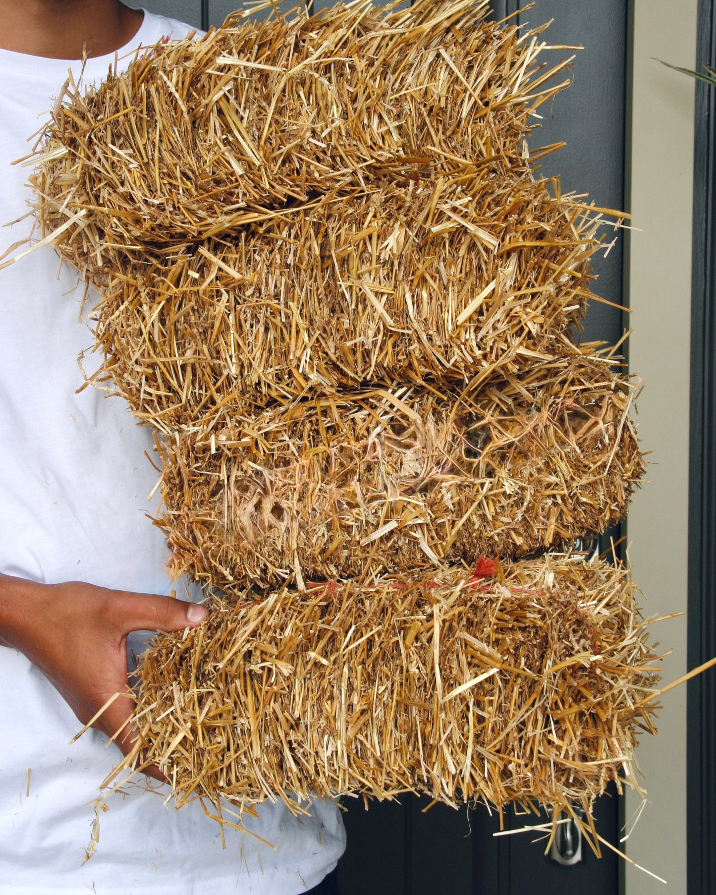 Mini Straw Bale