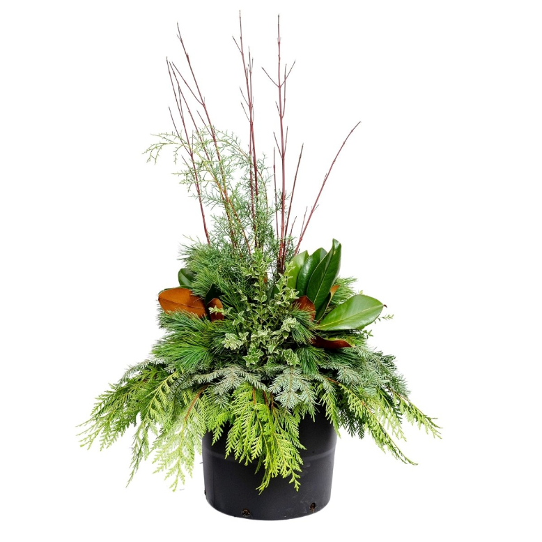 Modern Greens & Dogwood Winter Porch Pot