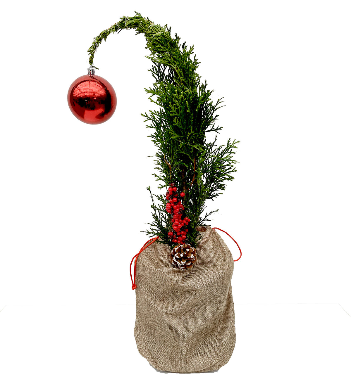 Emerald Cedar Grinch Tree
