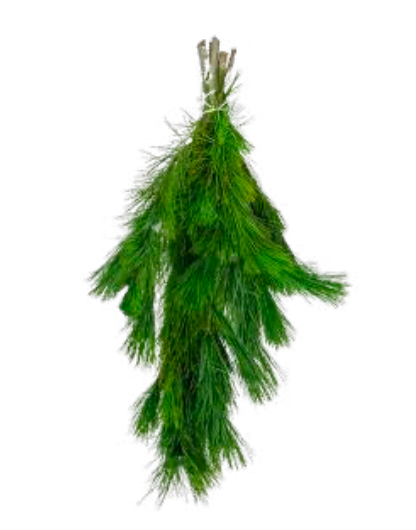 White Pine Boughs