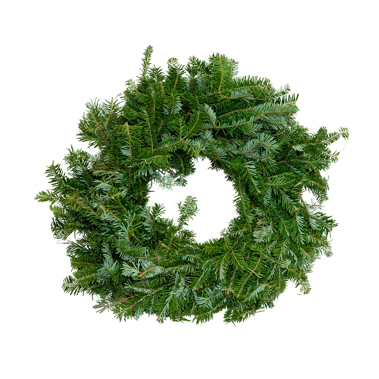 Fraser Fir Wreath - 20 Inch