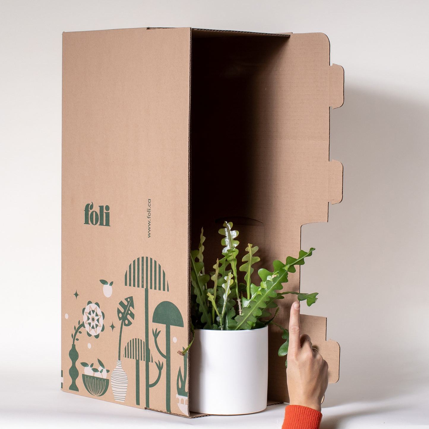 3 Month Plant Subscription
