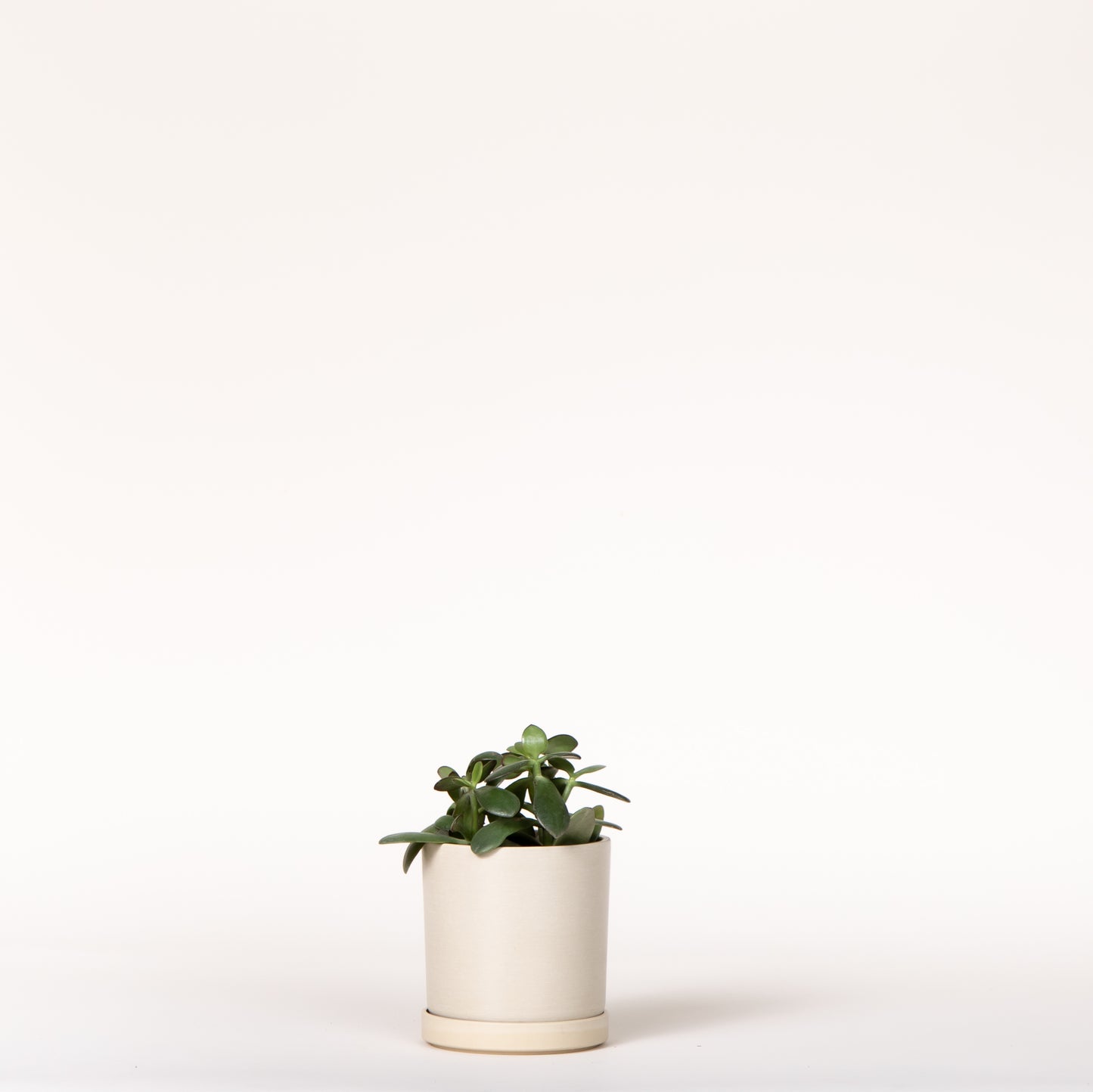 Jade
