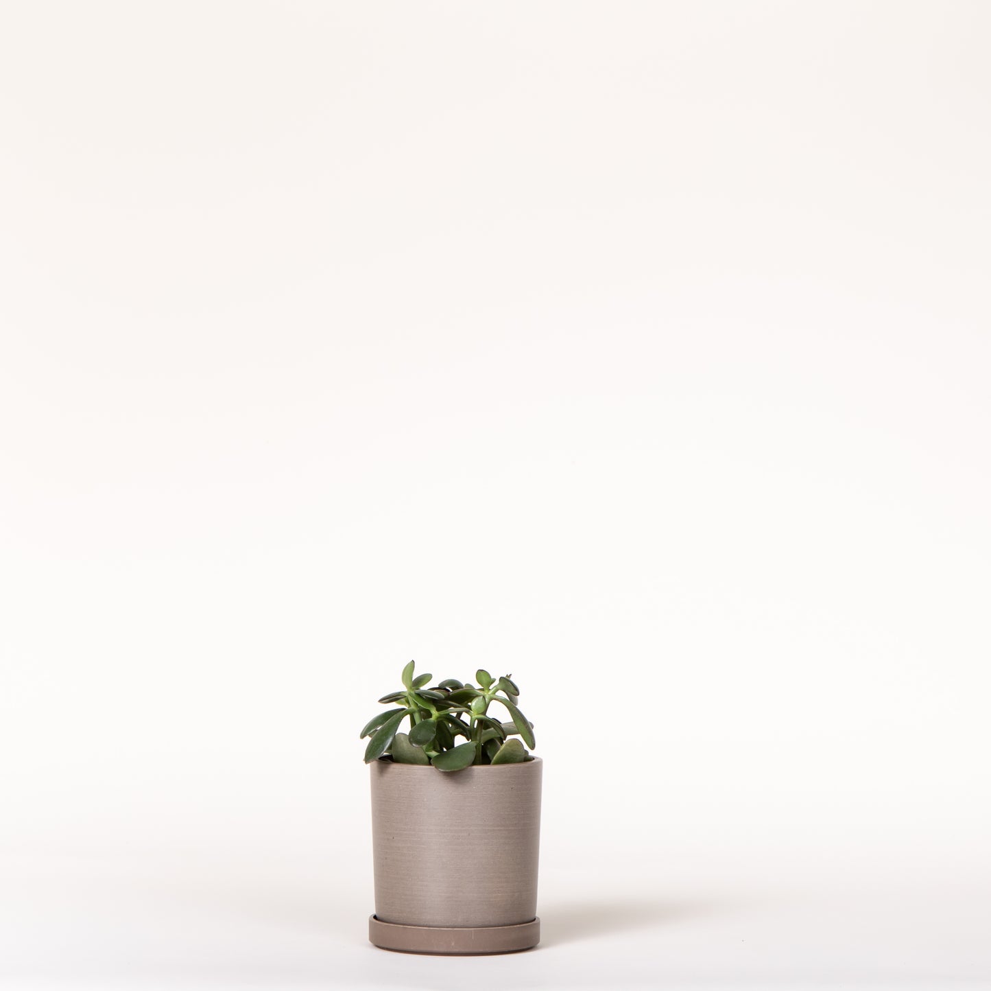 Jade