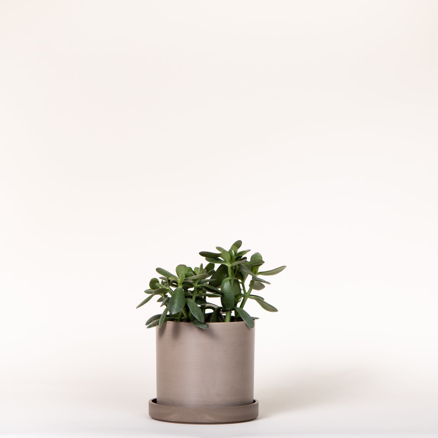 Jade