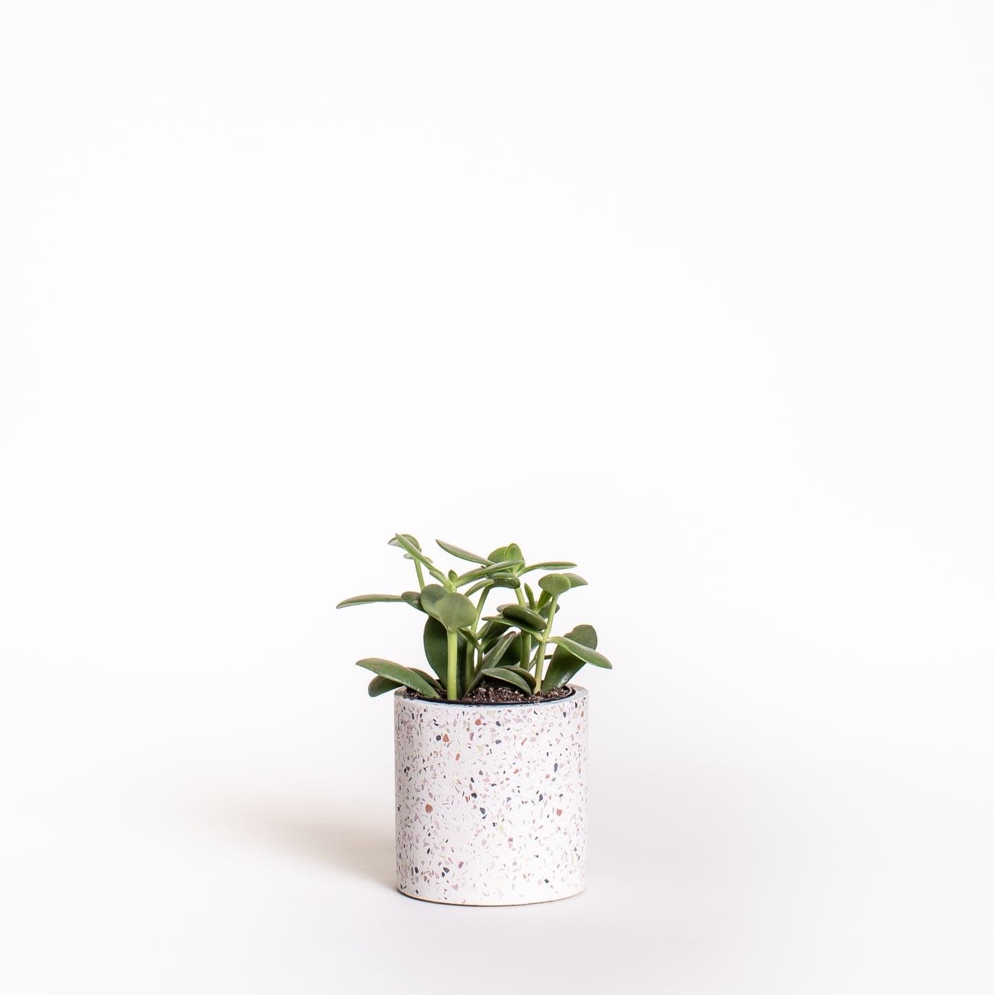 Jade