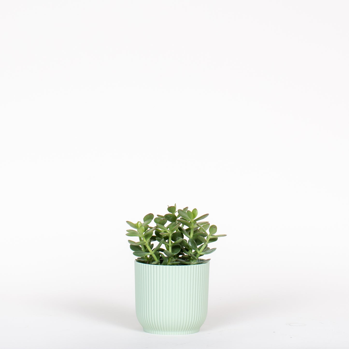 Jade