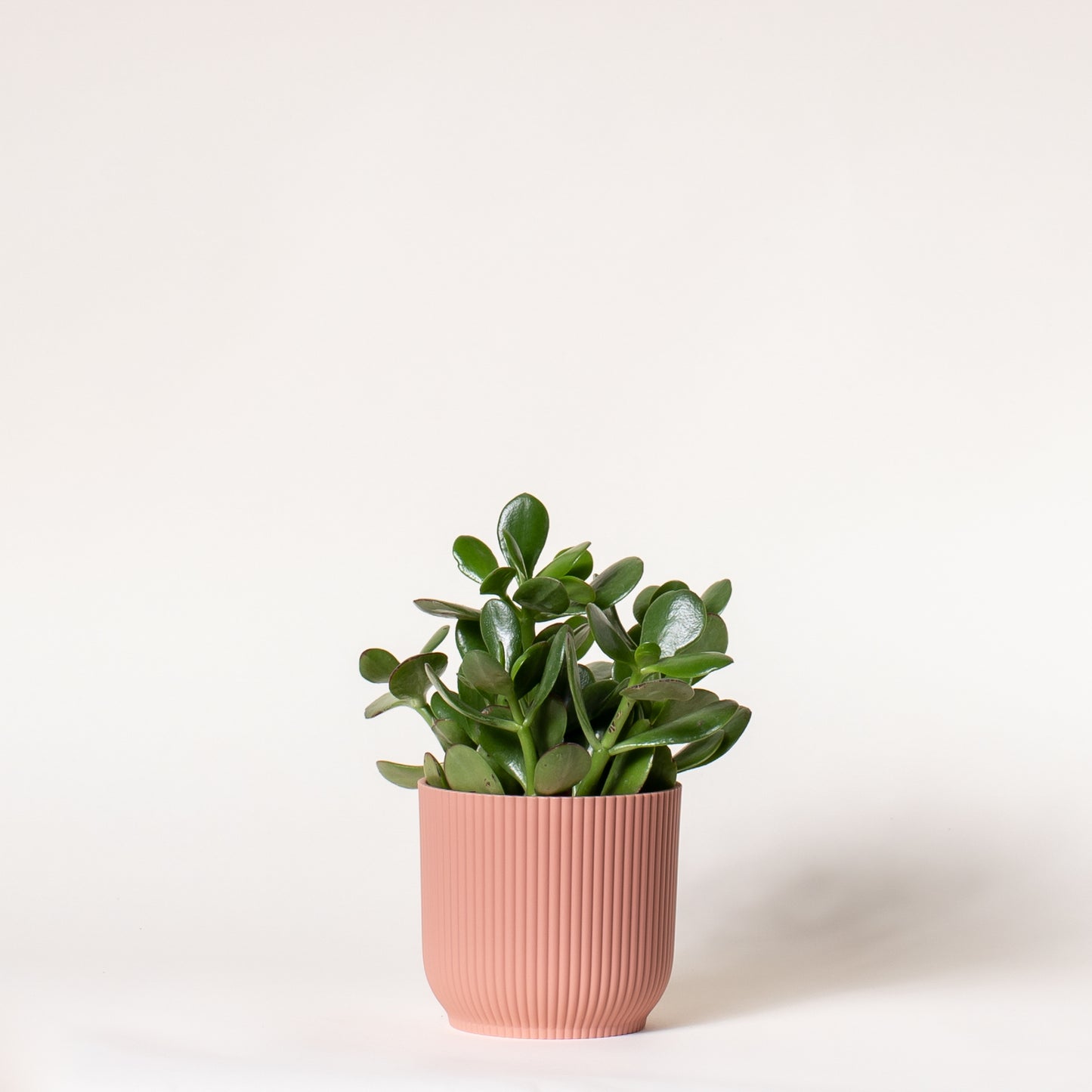 Jade
