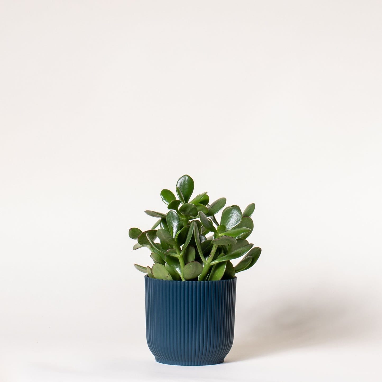 Jade