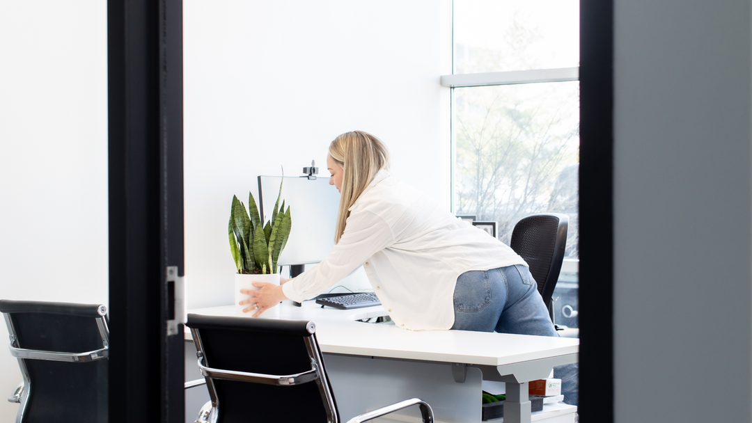 Best Plants for the Office