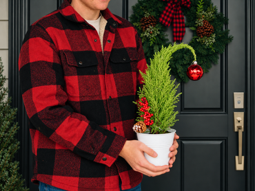 Potted Plants