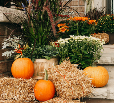 Fall Porch Picks