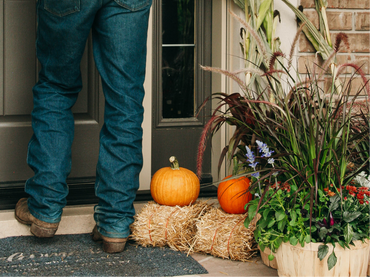 Fall Porch Picks