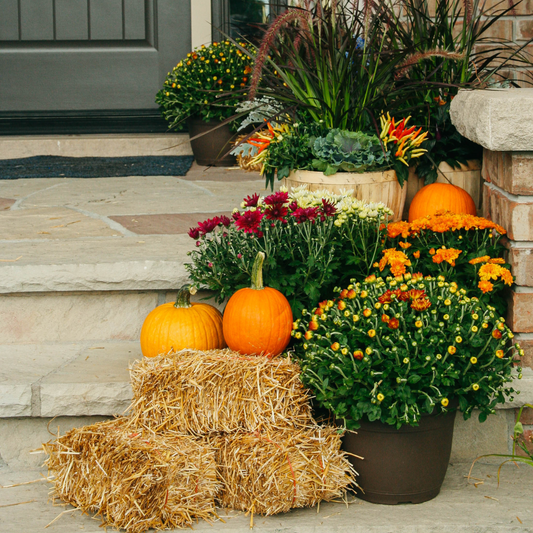 Delux Fall Porch Kit