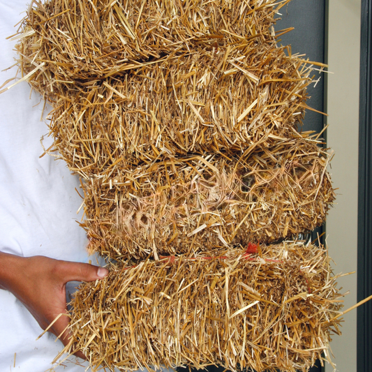 Mini Straw Bale