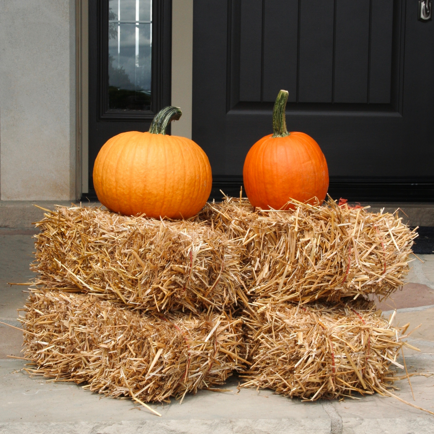 Mini Straw Bale