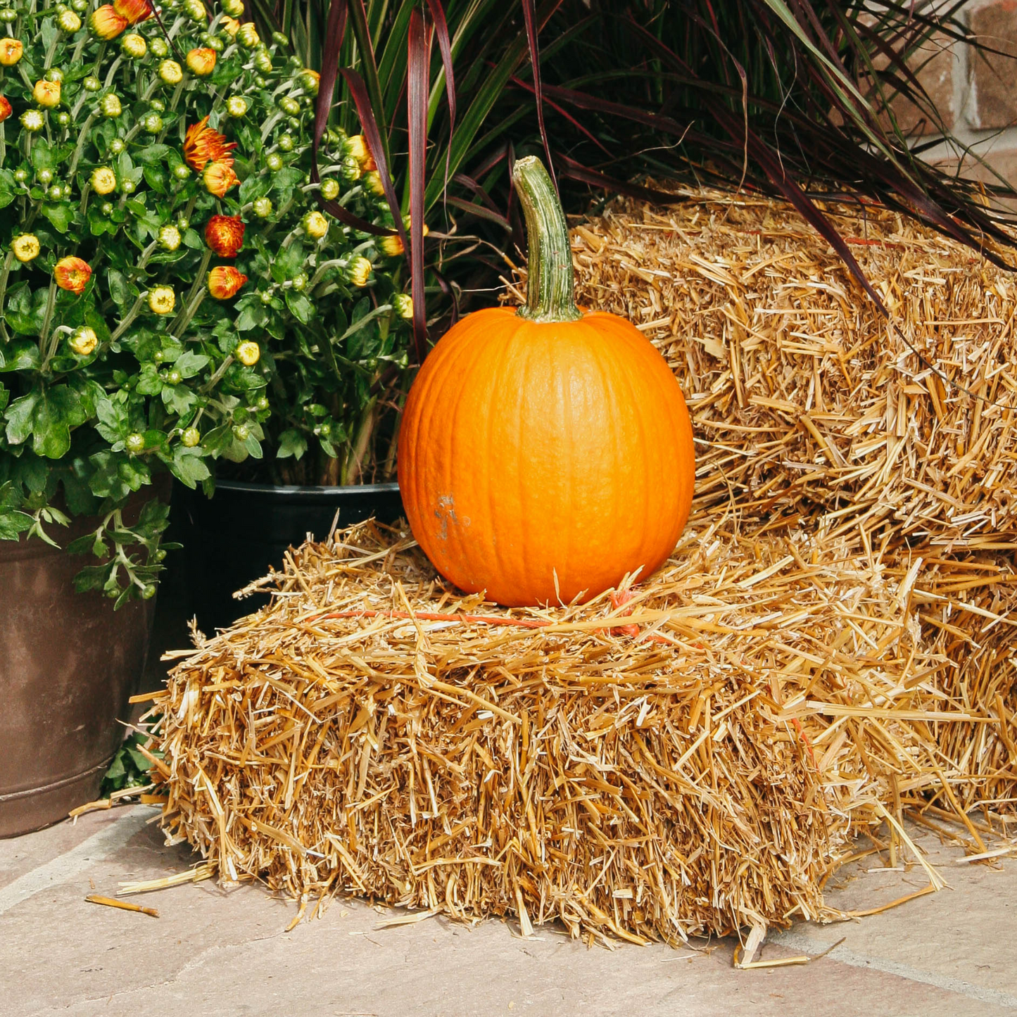 Mini Straw Bale