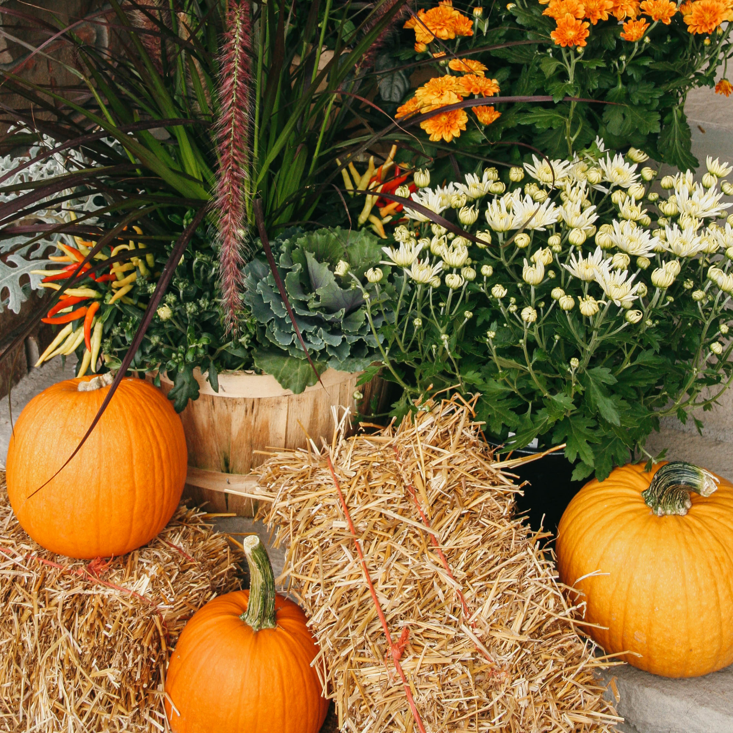 Delux Fall Porch Kit