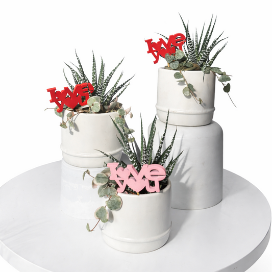 Valentine's Day Love Pot