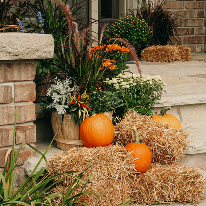 Classic Fall Porch Kit