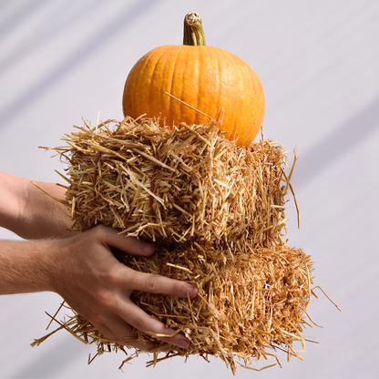 Delux Fall Porch Kit
