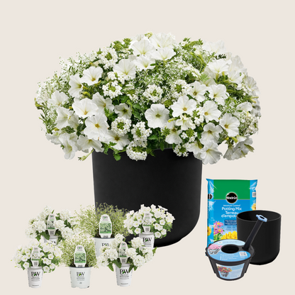 Ready-to-Plant Combo Kit: Alpine Snow