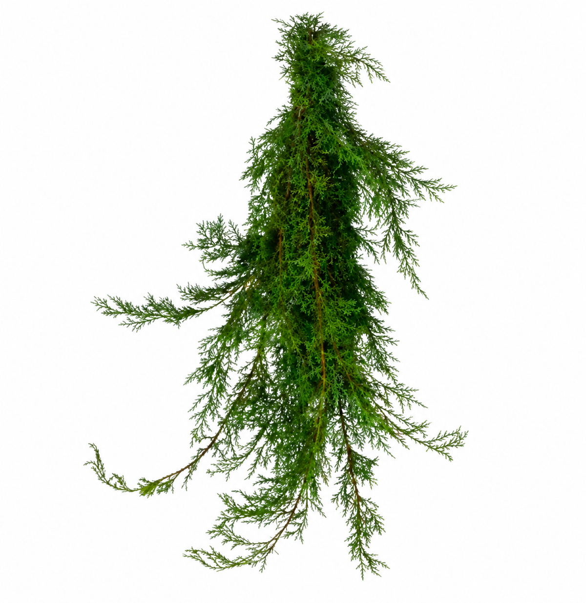 Carolina Sapphire Boughs
