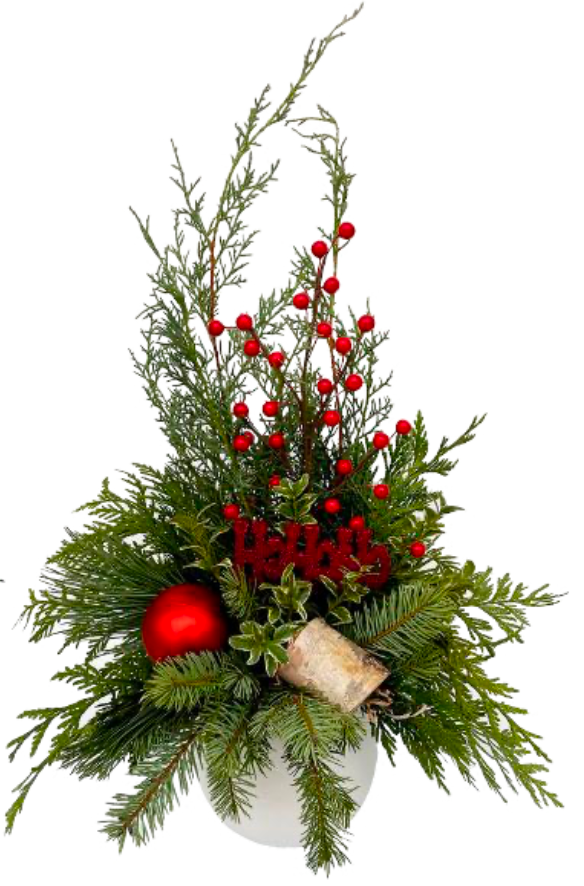 Assorted Christmas Arrangement