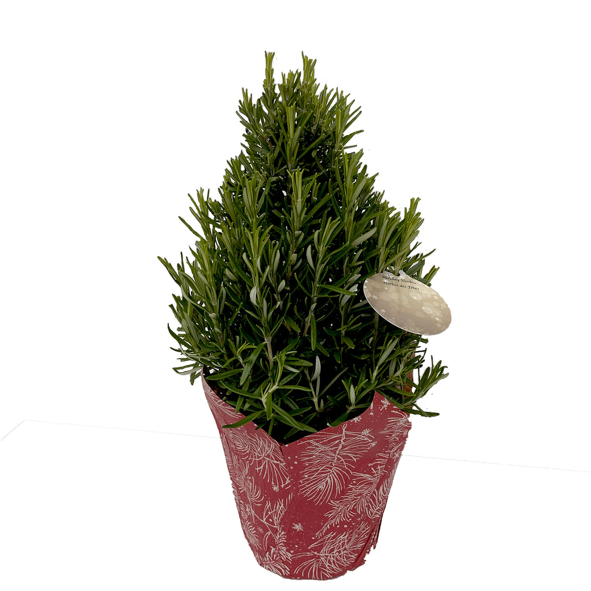 Rosemary Tree Pyramid
