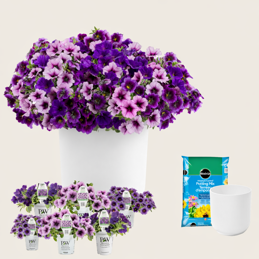 Ready-to-Plant Combo Kit: Home Again