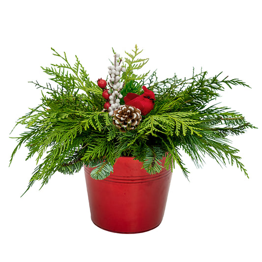 Christmas Bird Planter - 6 Inch Tin Pot