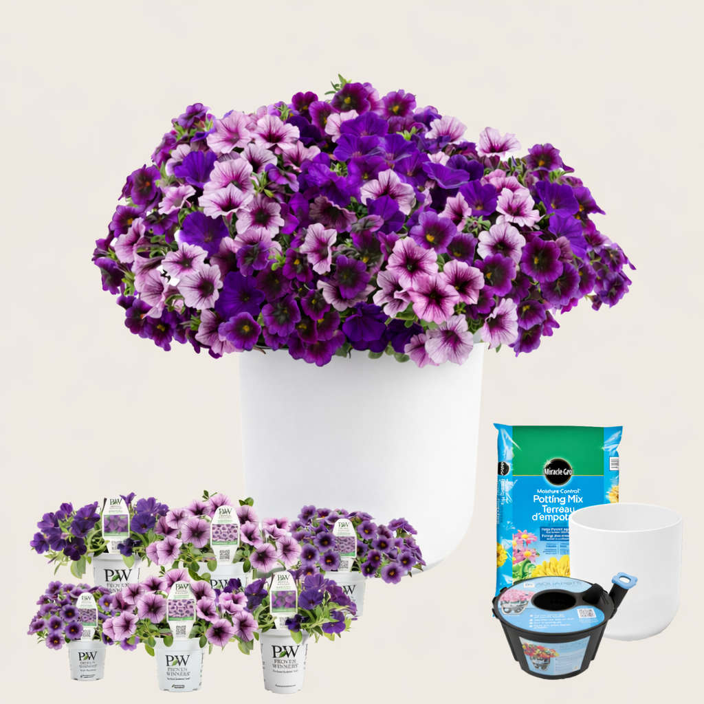 Ready-to-Plant Combo Kit: Home Again