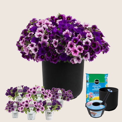Ready-to-Plant Combo Kit: Home Again