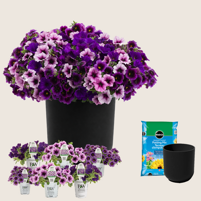 Ready-to-Plant Combo Kit: Home Again