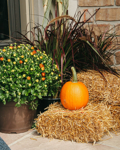 Mini Straw Bale