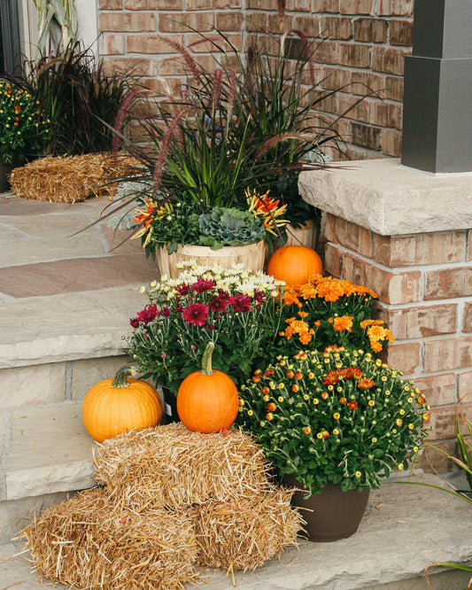 Delux Fall Porch Kit