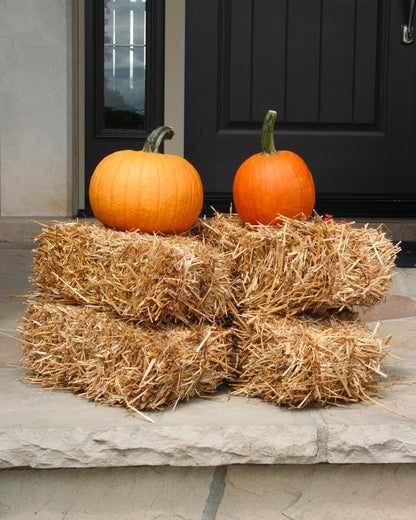 Mini Straw Bale