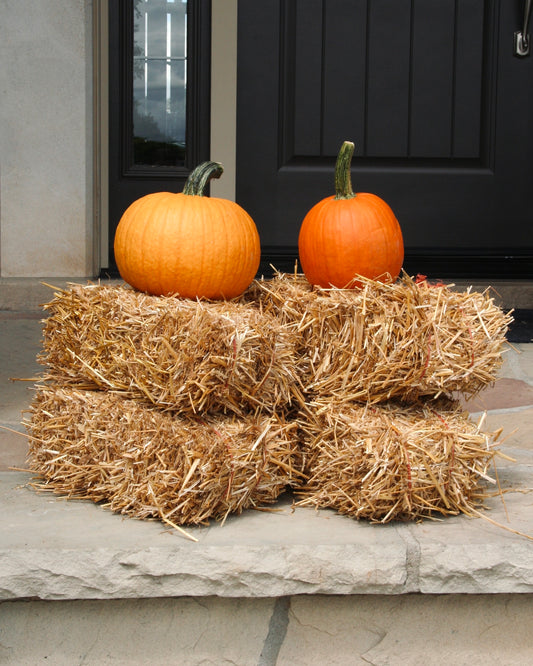 Mini Straw Bale