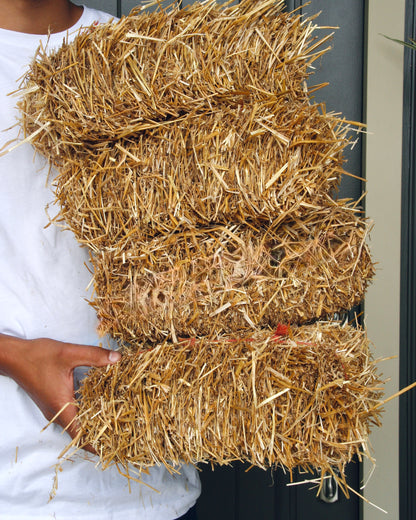 Mini Straw Bale