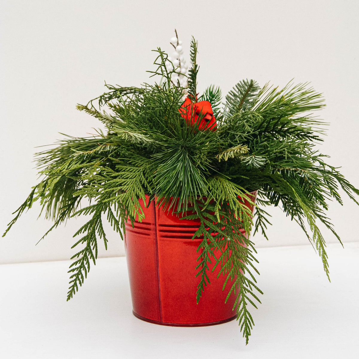 Christmas Bird Planter - 6 Inch Tin Pot